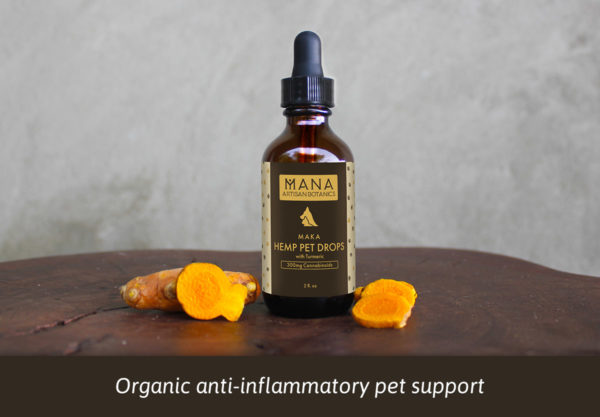 Hemp Pet Drops: with Turmeric