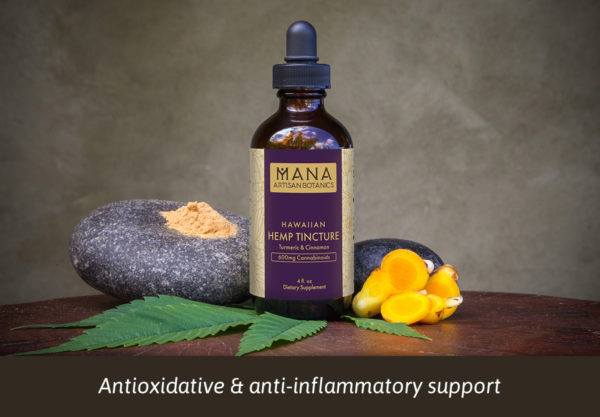 Hemp Tincture: Turmeric & Cinnamon (Limited Edition)